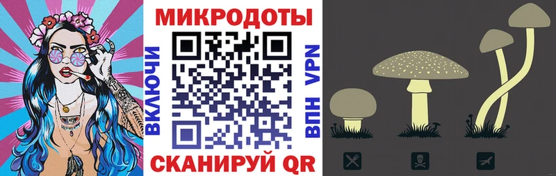 Купить  Сорск  Псилоцибиновые грибы Psilocybine cubensis 