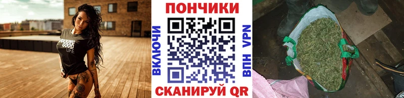 МАРИХУАНА план  Купить где  Сорск 